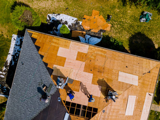 Professional Roofing Contractor in Long Lake, MN