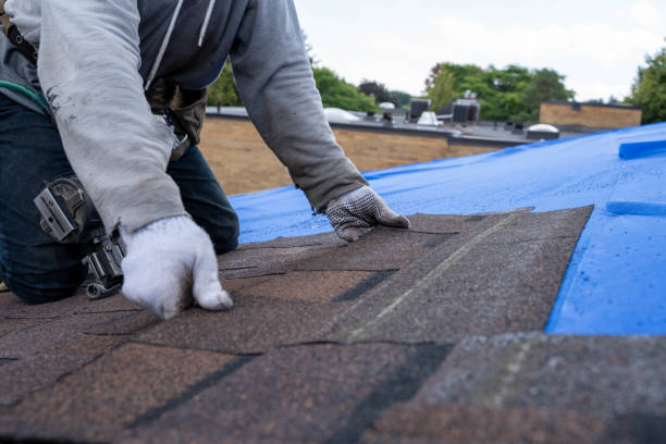 Best Residential Roof Replacement  in Long Lake, MN