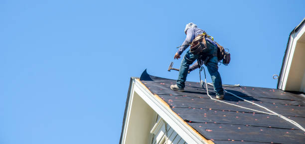 Best Roof Repair Services  in Long Lake, MN